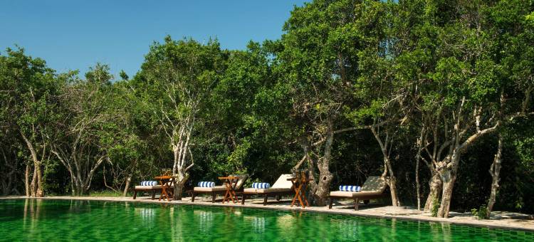 乌加雅拉逸墅(Uga Chena Huts - Yala - All Inclusive)图片