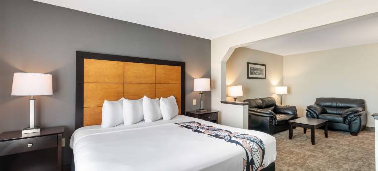 中途机场贝斯特韦斯特套房酒店(Best Western Inn  Suites - Midway Airport)图片