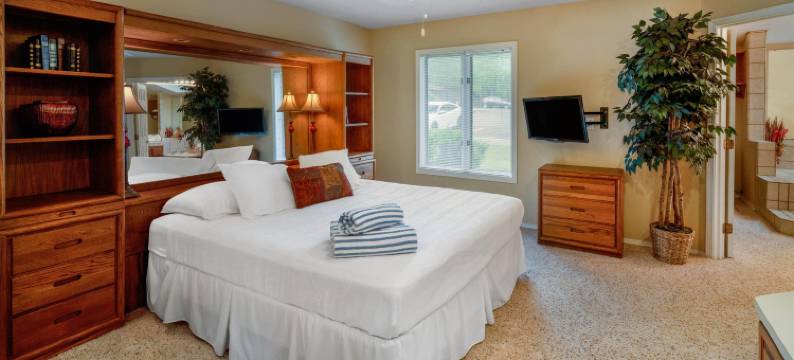 温泉城村洛斯拉各斯温德姆华美达酒店(Los Lagos at Hot Springs Village a Ramada by Wyndham)图片