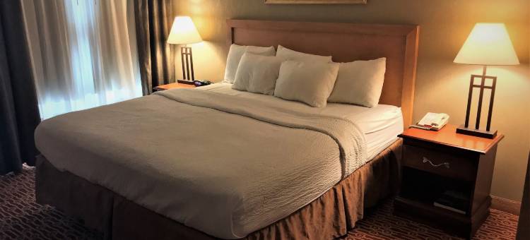 侯斯特全套房酒店(Host Inn an All Suites Hotel)图片