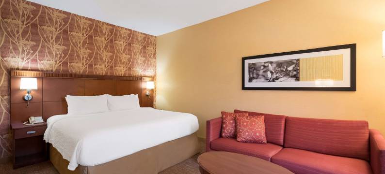 底特律-奥本希尔斯索尼斯塔精选酒店(Sonesta Select Detroit Auburn Hills)图片