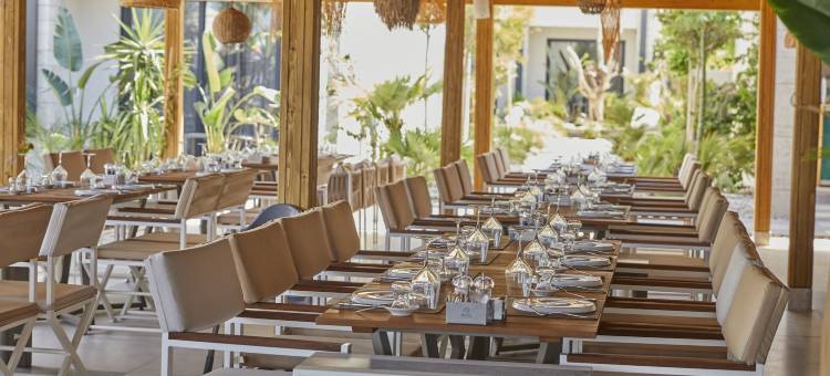 由Dedeman管理的Rammos(Rammos Managed by Dedeman)图片