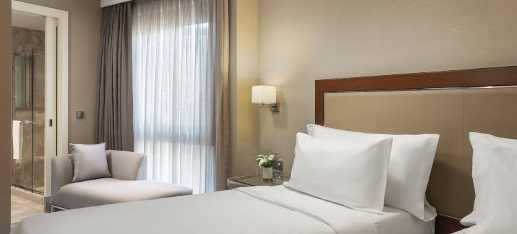 西方安卡拉酒店(Occidental Ankara)图片