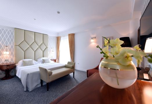 Hotel Ziya Hotel Overview