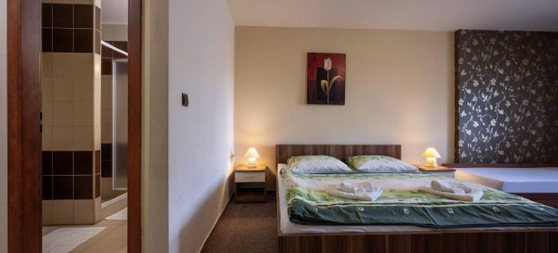 潘吉翁姬夫卡旅馆(Penzión Zivka)图片