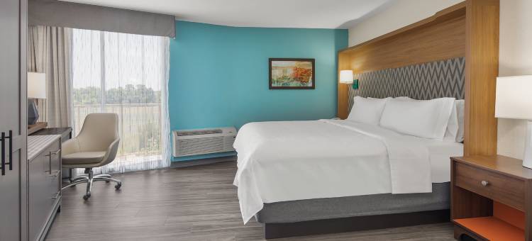 Holiday Inn 查尔斯顿，RIVERVIEW(Holiday Inn Charleston-Riverview)图片