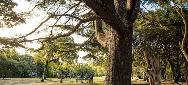 奥尔巴尼服探索酒店(Quest Albany)图片
