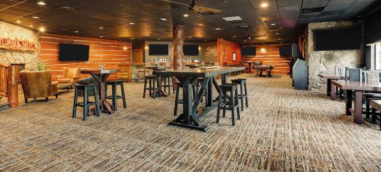 斯托尼溪会议中心及酒店-拉克罗斯(Stoney Creek Hotel la Crosse - Onalaska)图片