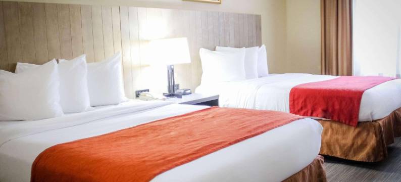 切斯特丽怡酒店(Country Inn & Suites by Radisson, Chester, VA)图片