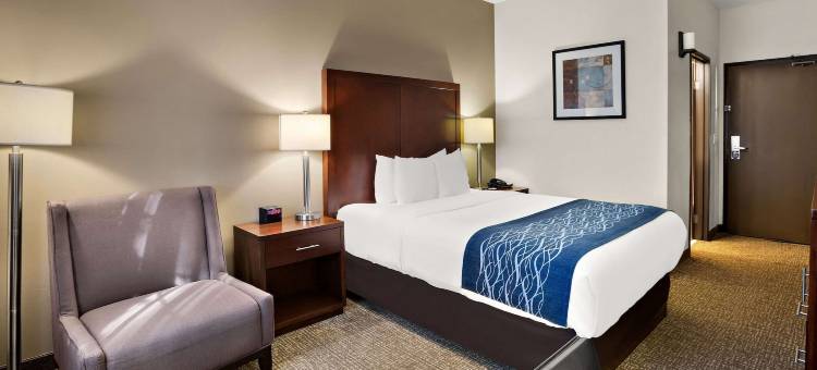 莱西舒适酒店(Comfort Inn Lacey - Olympia)图片
