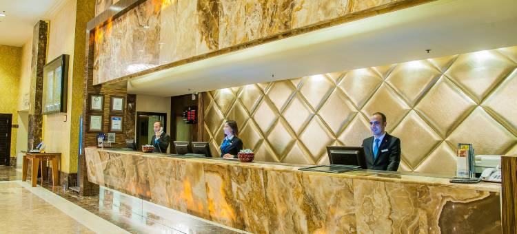 德德曼科尼亚酒店及会议中心(Dedeman Konya Hotel Convention Center)图片