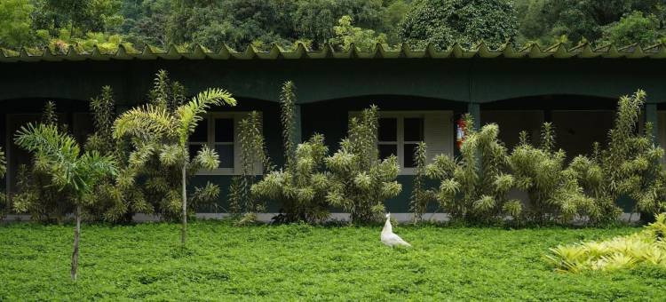 博斯克生态度假酒店(Hotel do Bosque Eco Resort)图片