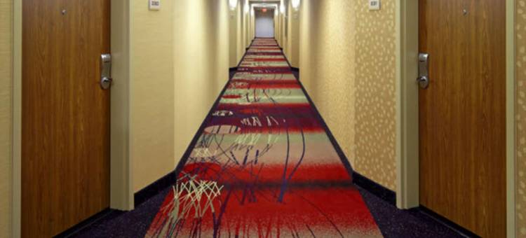 哥伦布俄亥俄州立大学万豪SpringHill酒店(SpringHill Suites Columbus OSU)图片