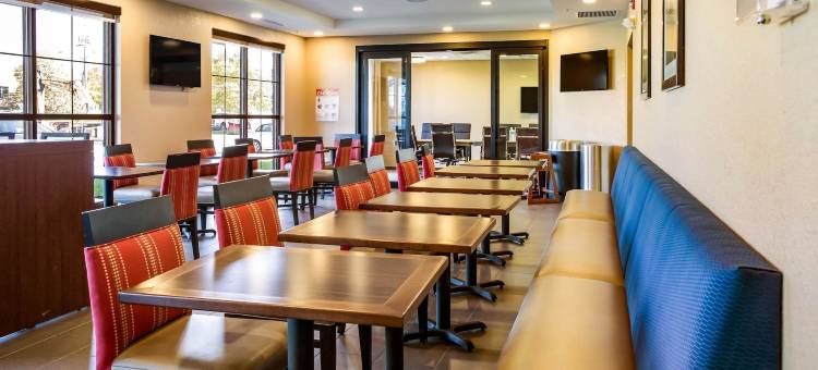 尼亚加拉瀑布大道舒适套房酒店(Comfort Inn & Suites Niagara Falls Blvd USA)图片