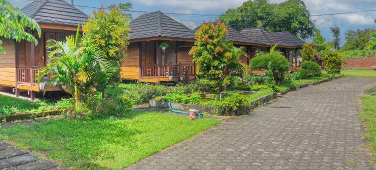 Puncak Rinjani旅馆(Puncak Rinjani Lodge)图片