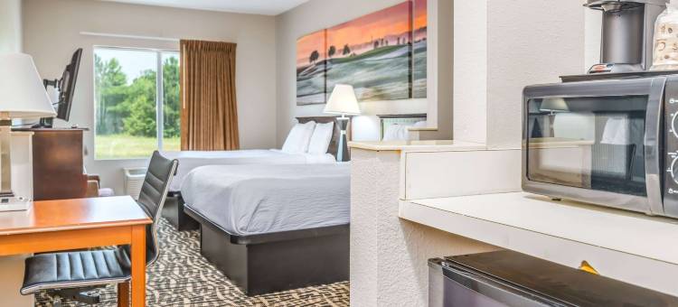 蒙哥马利体育馆戴斯酒店(Days Inn by Wyndham Coliseum Montgomery Al)图片