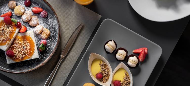 X 阿尔普酒店(X Alp Hotel)图片