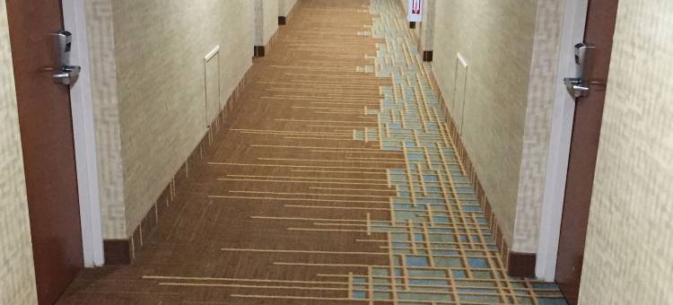 皮姆利科赛马场附近凯艺酒店(Quality Inn Near Pimlico Racetrack)图片