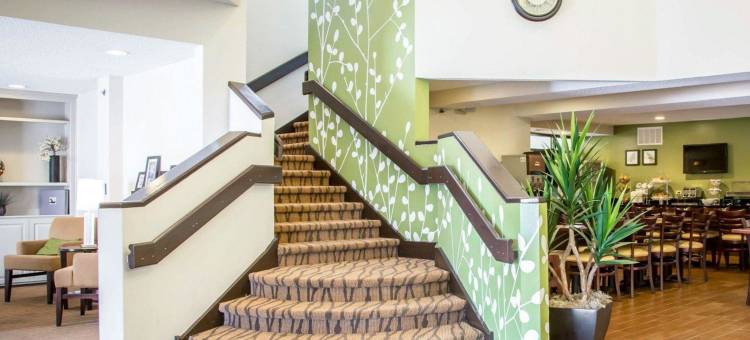 舒眠酒店-中途机场(Sleep Inn Midway Airport)图片