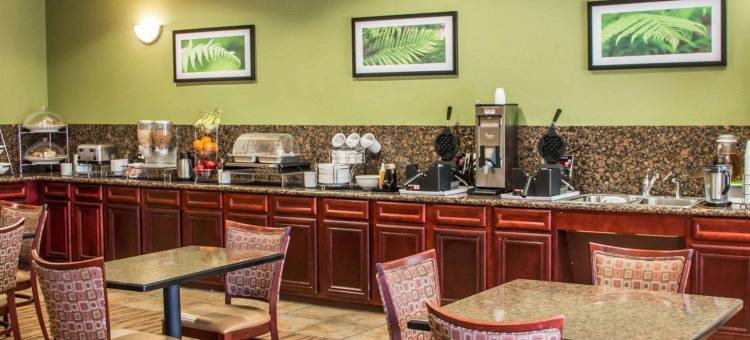 六旗舒眠酒店套房(Sleep Inn & Suites at Six Flags)图片