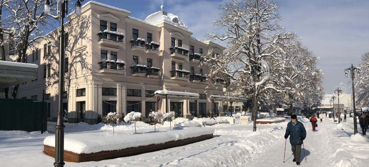 泽普特酒店弗尔夏奇巴尼亚分店，泽普特酒店成员(Zepter Hotel Vrnjacka Banja, Member of Zepter Hotels)图片