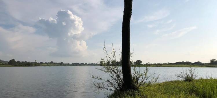 阿南塔生态住宿酒店-近科达拉(Ananta Ecostays)图片