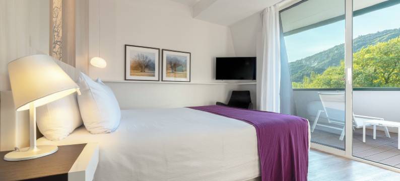 阿韦恩活泉水喷雾酒店(Eau Thermale Avène l'hôtel)图片