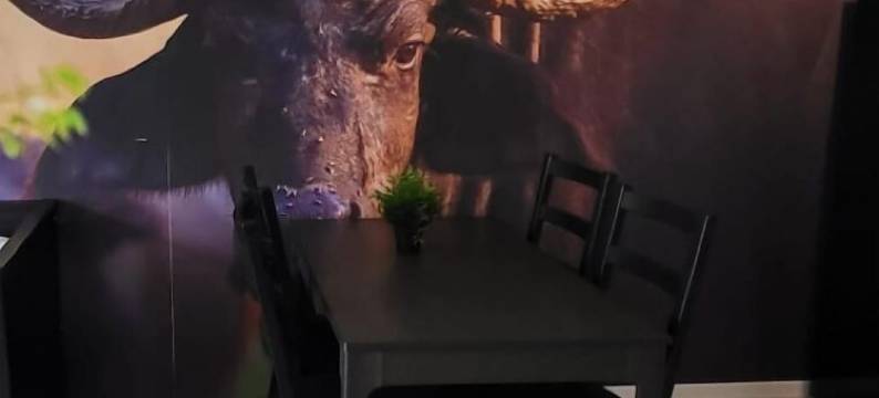 D&B 假日公园度假屋(D&B Staycation Ferienpark)图片