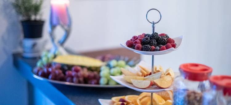 卡尔斯鲁厄-埃根斯泰因-列奥波德港EXo Individual酒店(EXo Individual Hotel Karlsruhe - Eggenstein-Leopoldshafen)图片