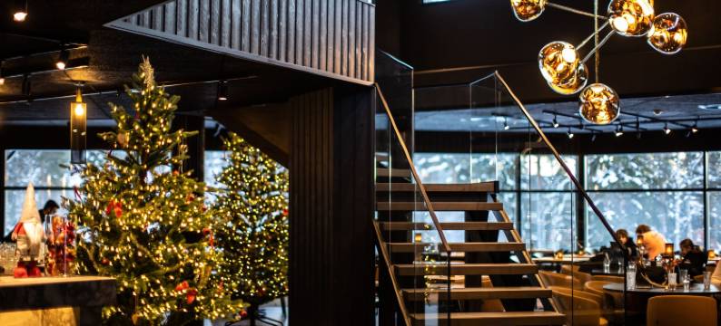 北光村庇护(Northern Lights Village Pyhä)图片