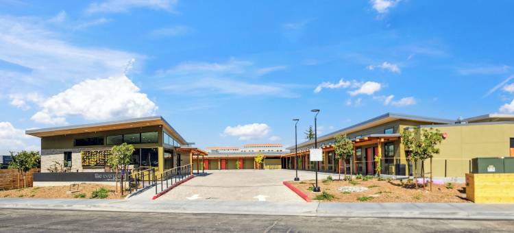 常青酒店(Evergreen Hotel)图片