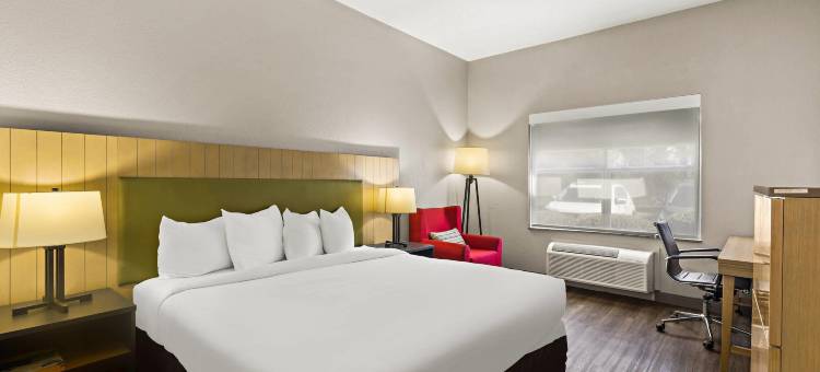 海恩斯维尔丽怡酒店(Country Inn & Suites by Radisson, Hinesville, GA)图片