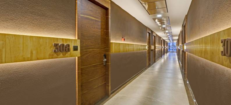 Treebo Premium 兰花酒店(Treebo Premium la Orchid, Big Temple)图片