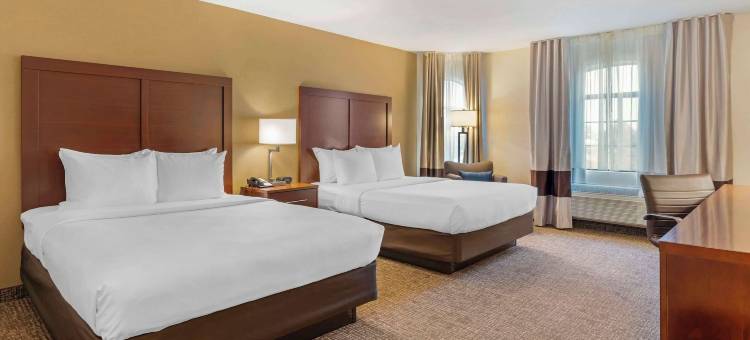 蒙特利湾马里那舒适酒店(Comfort Inn Marina on the Monterey Bay)图片