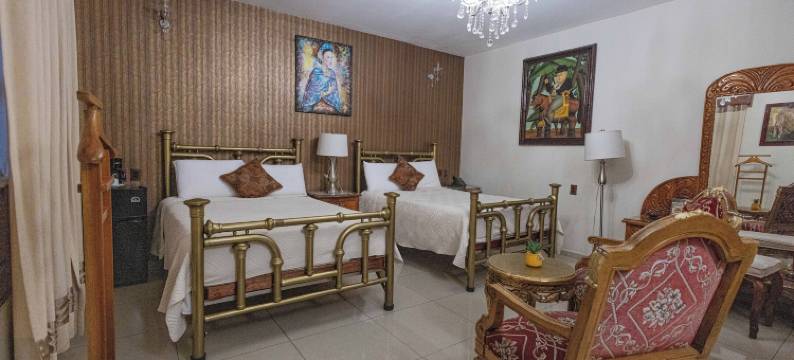 加雷之家精品酒店(Hotel Boutique Casa Garay)图片