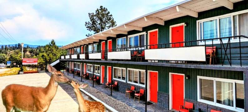 迪尔维尤小屋旅馆(Deerview Lodge & Cabins - Princeton BC)图片