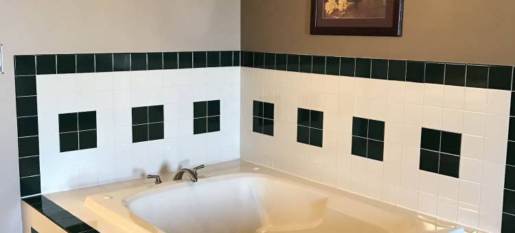 奢华酒店套房(Luxury Inn & Suites Troy)图片