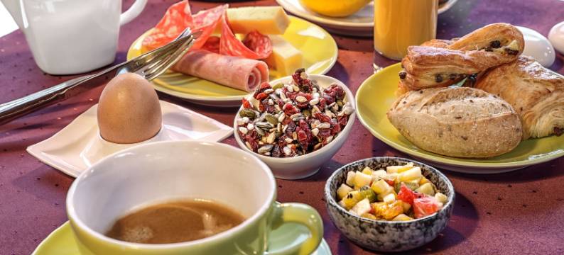 欧罗巴酒店(Hôtel-Restaurant Logis Europa)图片