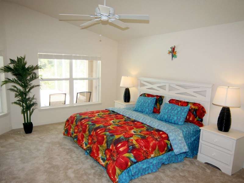 Dolphin Cove Over view