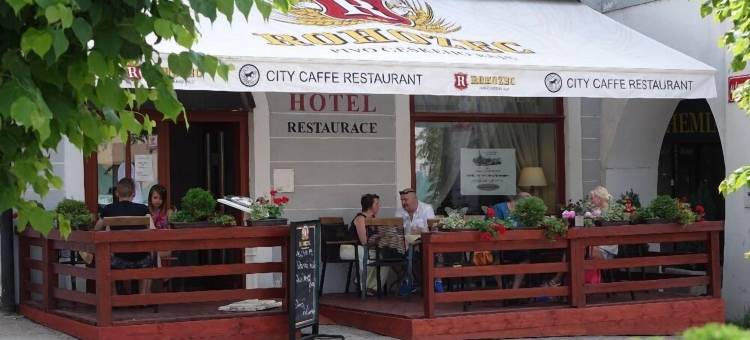 皮塞克城市酒店(Hotel City Pisek)图片