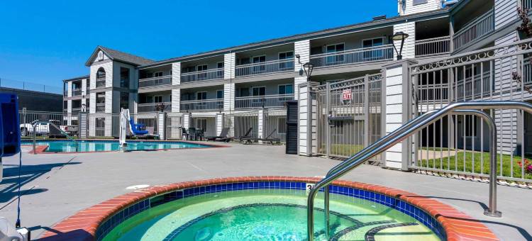 舒适酒店(Comfort Inn)图片