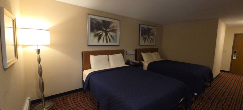 切萨宁套房酒店(Chesaning INN & Suites)图片