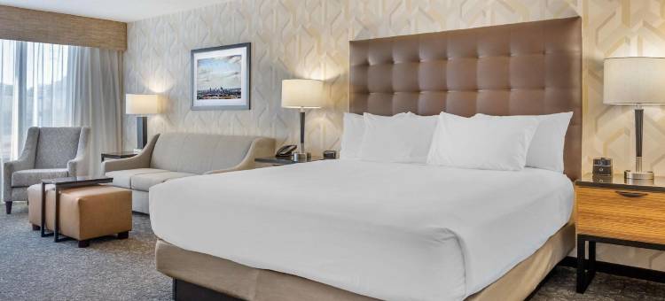 圣路易斯西南德鲁里套房酒店(Drury Inn & Suites St. Louis-Southwest)图片