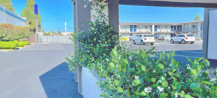 Motel 6尤巴市，加州(Motel 6 Yuba City, CA)图片