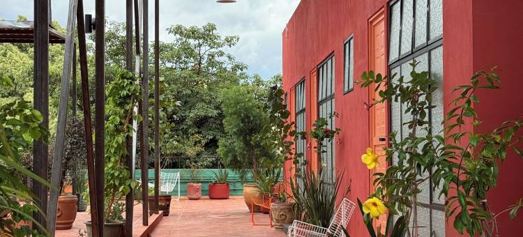 Ginger banana 青年旅舍(Ginger Banana Hostel)图片