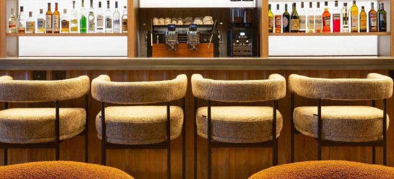 里昂铂尔曼酒店(Pullman Lyon)图片