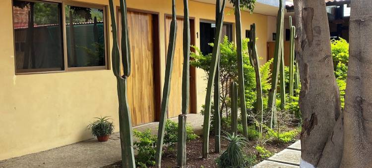 奥哈卡地平线别墅(Villas Horizonte Oaxaca)图片