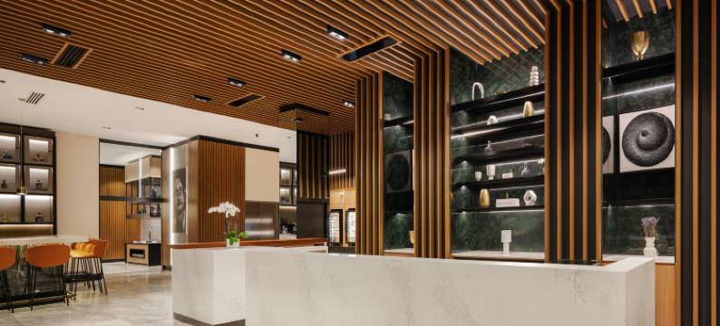 圣地亚哥德洛斯卡瓦列罗斯AC酒店(AC Hotel Santiago de Los Caballeros)图片