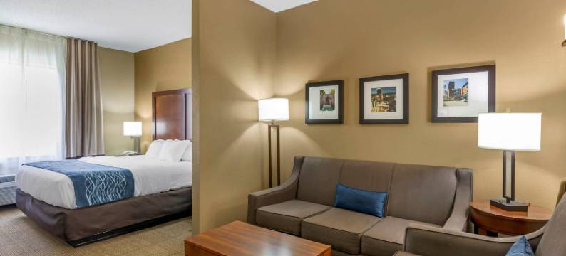 林奇堡机场-大学区舒适套房酒店(Comfort Inn & Suites Lynchburg Airport - University Area)图片