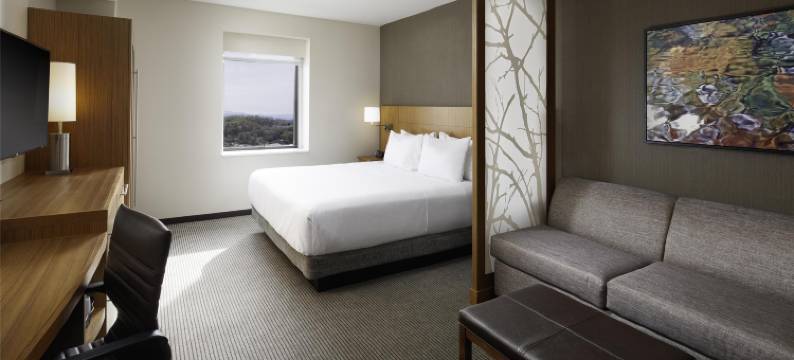 诺克斯维尔/市区凯悦嘉轩酒店(Hyatt Place Knoxville/Downtown)图片